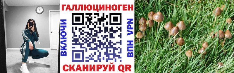 mega ТОР darknet наркотические препараты Псилоцибиновые грибы Psilocybine cubensis Шумерля